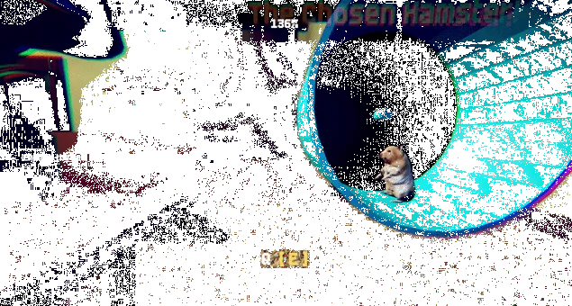 Creator GIF frame showing hamster by wheel with on-screen prompt
