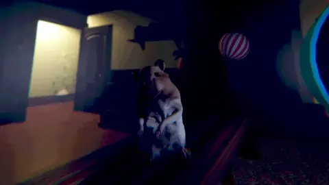 The hamster standing on a ledge in a darkened bedroom
